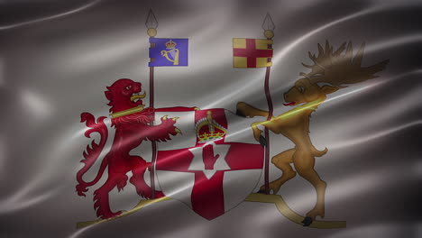 coat of arms of northern ireland, font view, full frame, sleek, glossy, fluttering, elegant silky texture, waving in the wind, realistic 4k cg animation, movie-like look, seamless loop-able