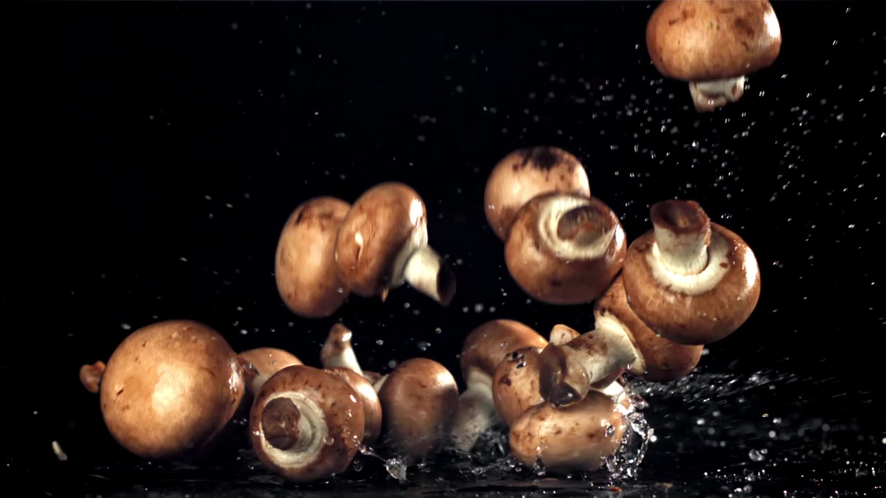 Friske brune champignoner falder og sprøjter på våd sort overflade i slowmotion