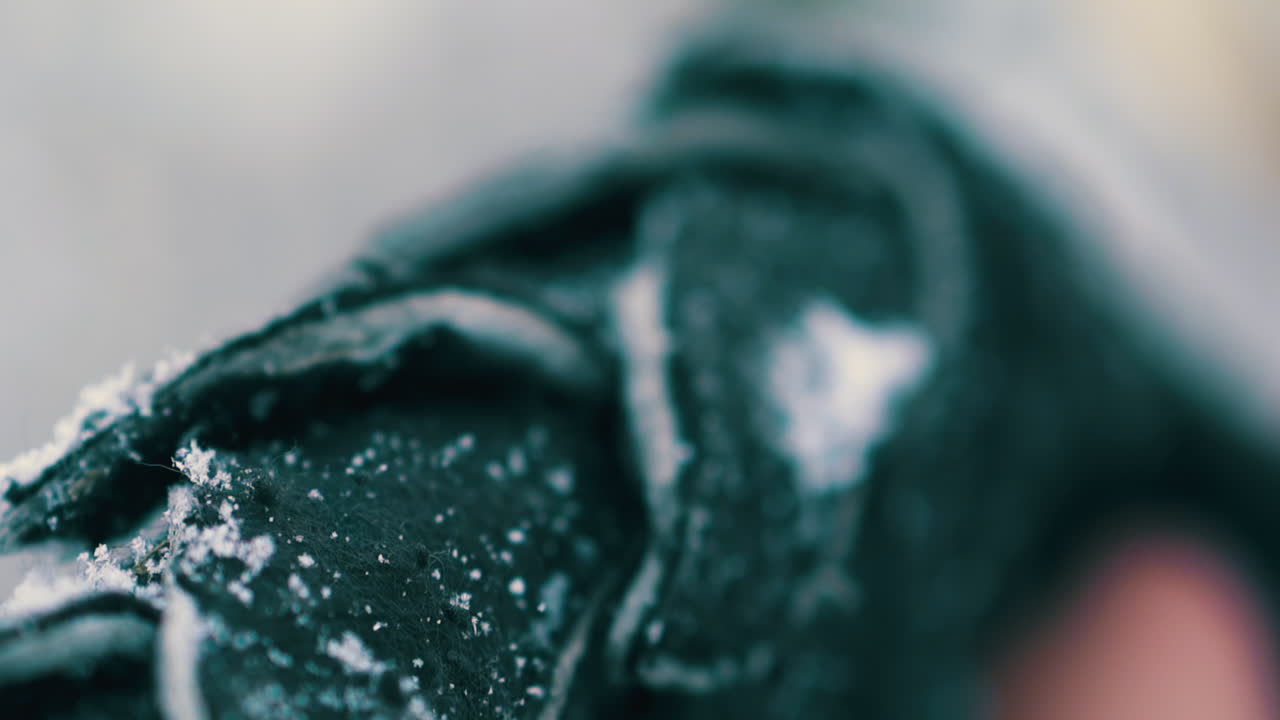 traje de fénix teatral con copos de nieve en alas en el bosque