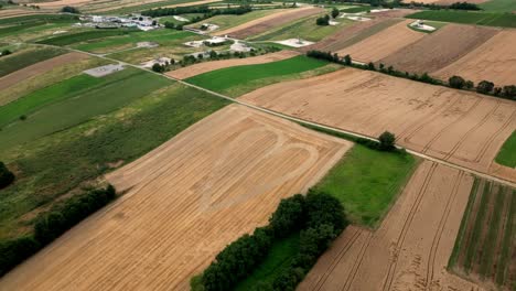 Heart-Shape-In-A-Golden-Wheat-Field---Aerial-Drone-Shot