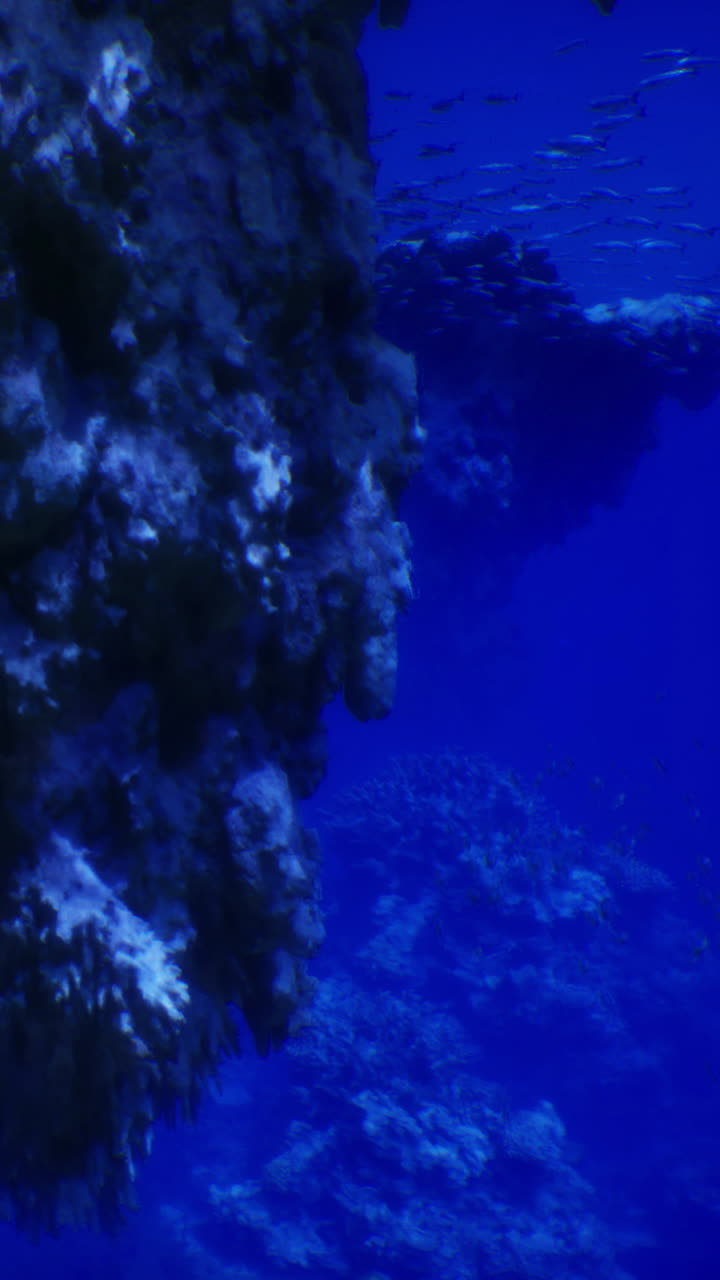 Paesaggio subacqueo con formazioni rocciose e pesci in acqua azzurra.