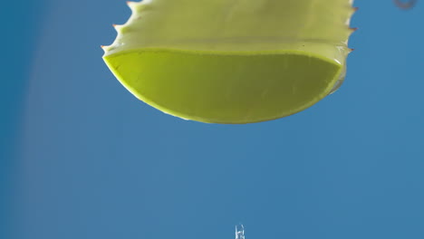 Reine-Wassertropfen-Und-Ströme-Zu-Grüner-Aloe-Vera-Auf-Blauem-Hintergrund