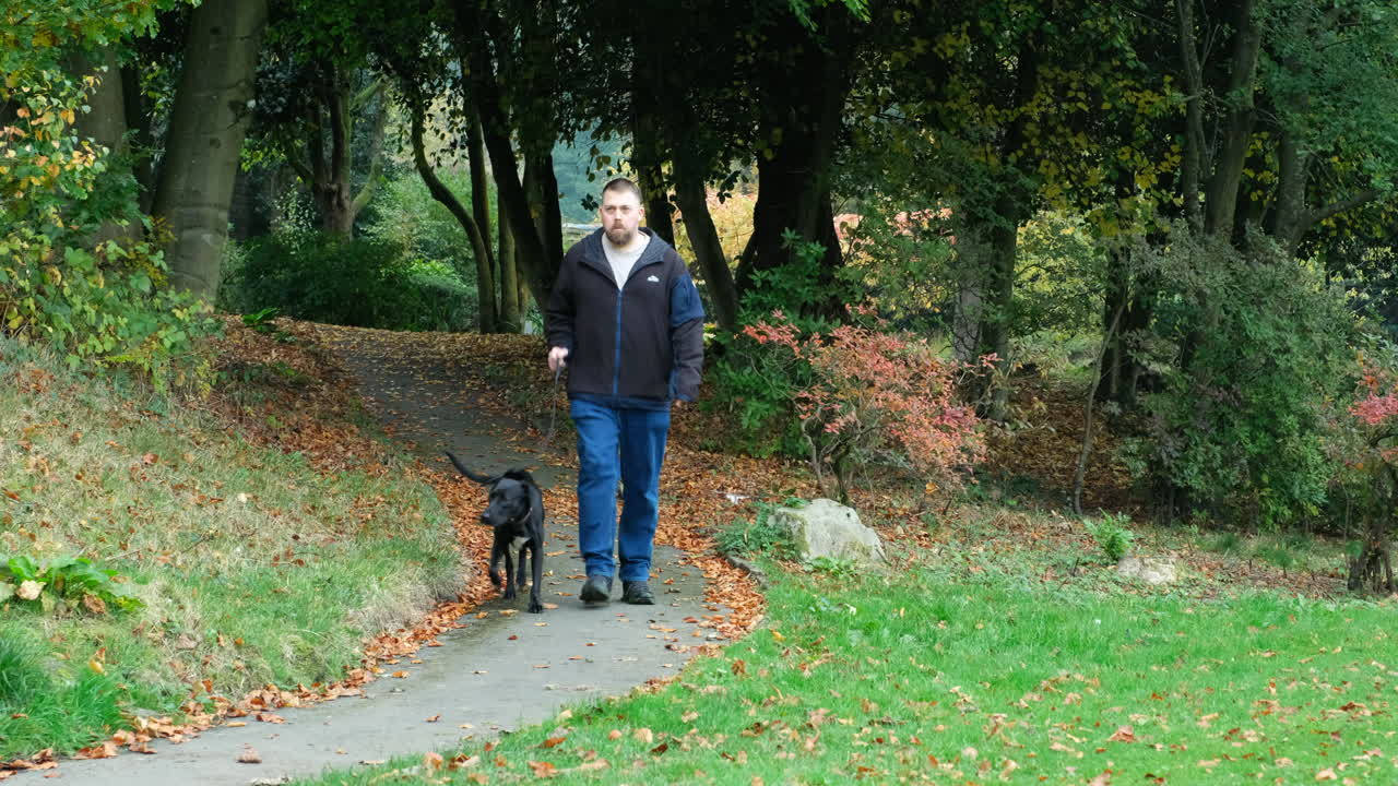 A man walks his black dog along a winding path through autumn trees in a park, surrounded by fallen golden leaves and soft seasonal light