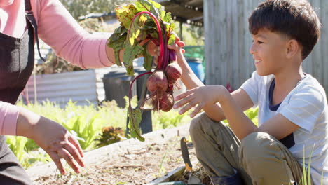 una abuela y un nieto de dos razas recogiendo verduras en un jardín soleado, en cámara lenta