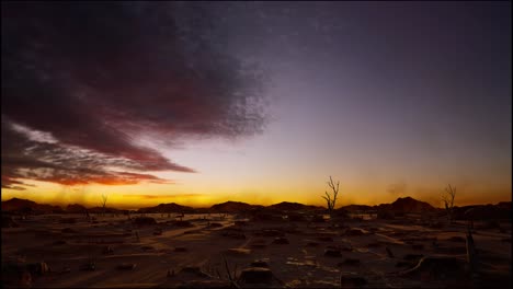troncos de árboles dejados después de la deforestación, hora de la puesta del sol