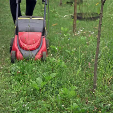 lawn mower in action. summer seasonal works in backyard.