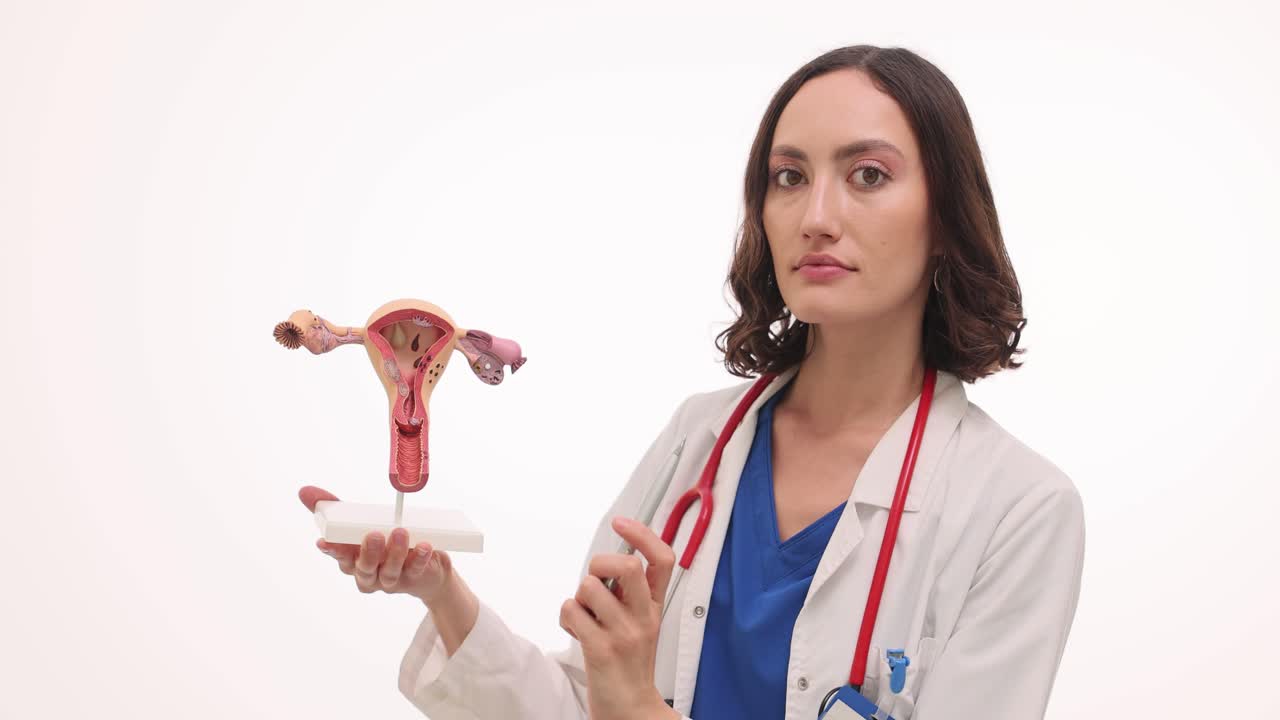 Dottoressa che spiega l'anatomia dell'utero con un modello medico