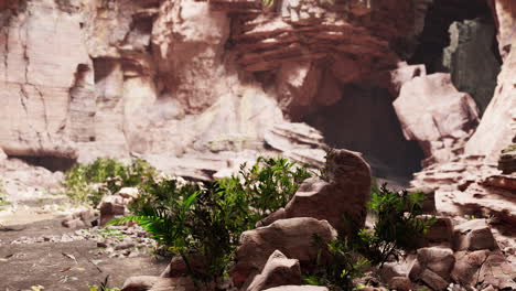 view from inside a dark cave with green plants and light on the exit