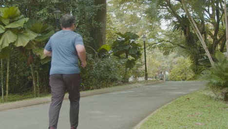 Un-Hombre-Malayo-Asiático-Gordo-Corriendo-Por-Su-Salud-En-El-Jardín-Del-Lago,-Plano-Amplio