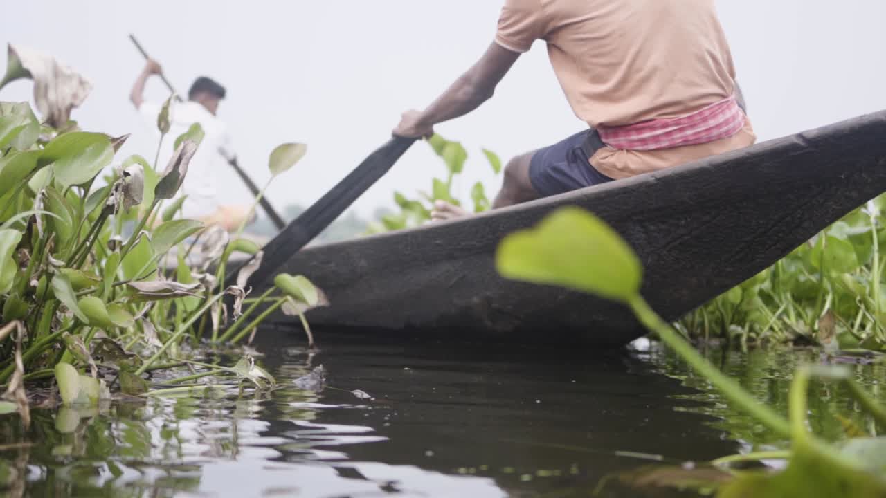 pobre pescador indio bote de remos en el río en sundarban, río con plantas de filodendro, cámara lenta