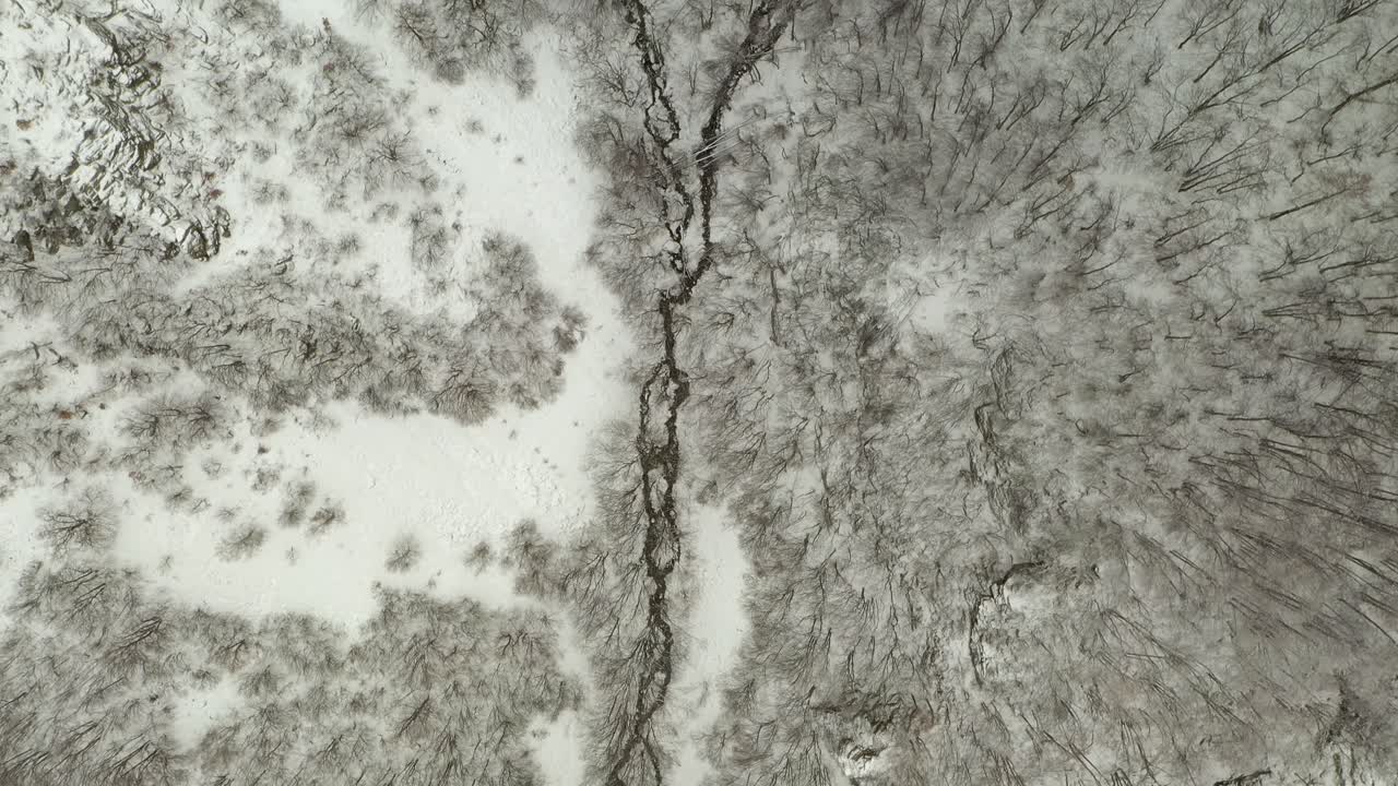 la corriente del río fluye en el bosque invernal cubierto de nieve, sobrecarga aérea