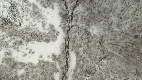 river stream flows in snow covered winter forest, aerial overhead
