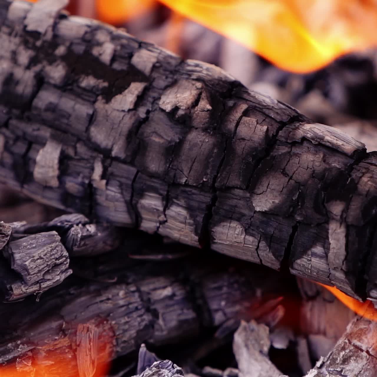 Bonfire in summer. Burning logs in orange flames. Selective focus. Slow motion video