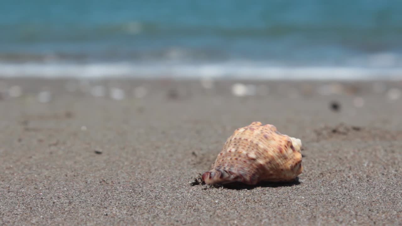 슬리퍼 배경 1 으로 해변 을  ⁇ 고 있다