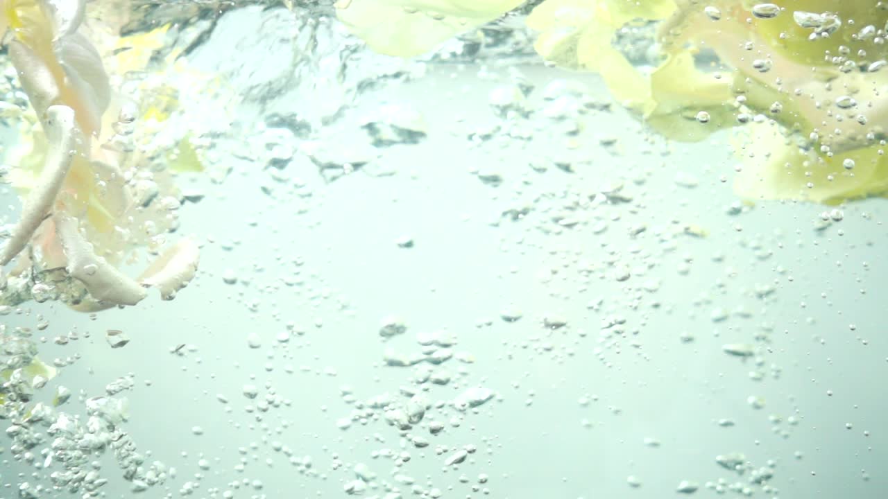 Petali di rose cadono nell'acqua. Sfondo. Movimento rallentato.