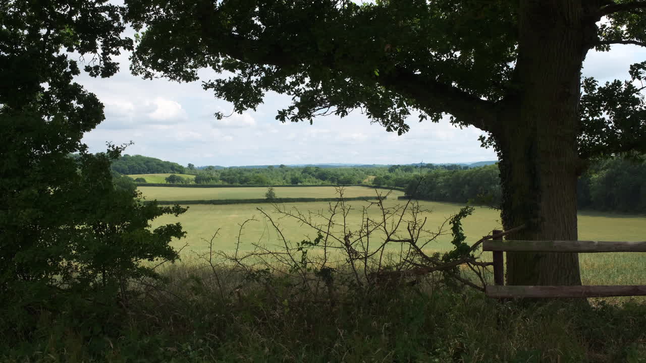 el viento que sopla a través de los árboles que enmarcan una escena rural de tierras de cultivo en la campiña de warwickshire, inglaterra, reino unido.
