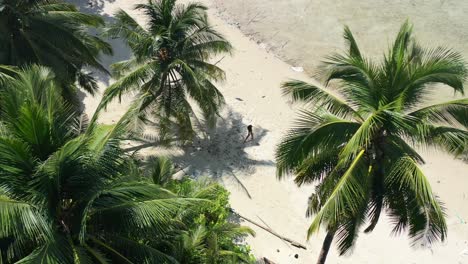 Vista-Aérea-De-Arriba-Hacia-Abajo-De-Un-Dron-De-Una-Joven-Turista-Asiática-Caminando-En-Una-Playa-Tropical-De-Arena-Blanca-Acercándose-Al-Agua-Con-Grandes-Cocoteros-Encima