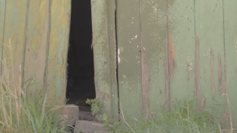 entrance to creepy old shed