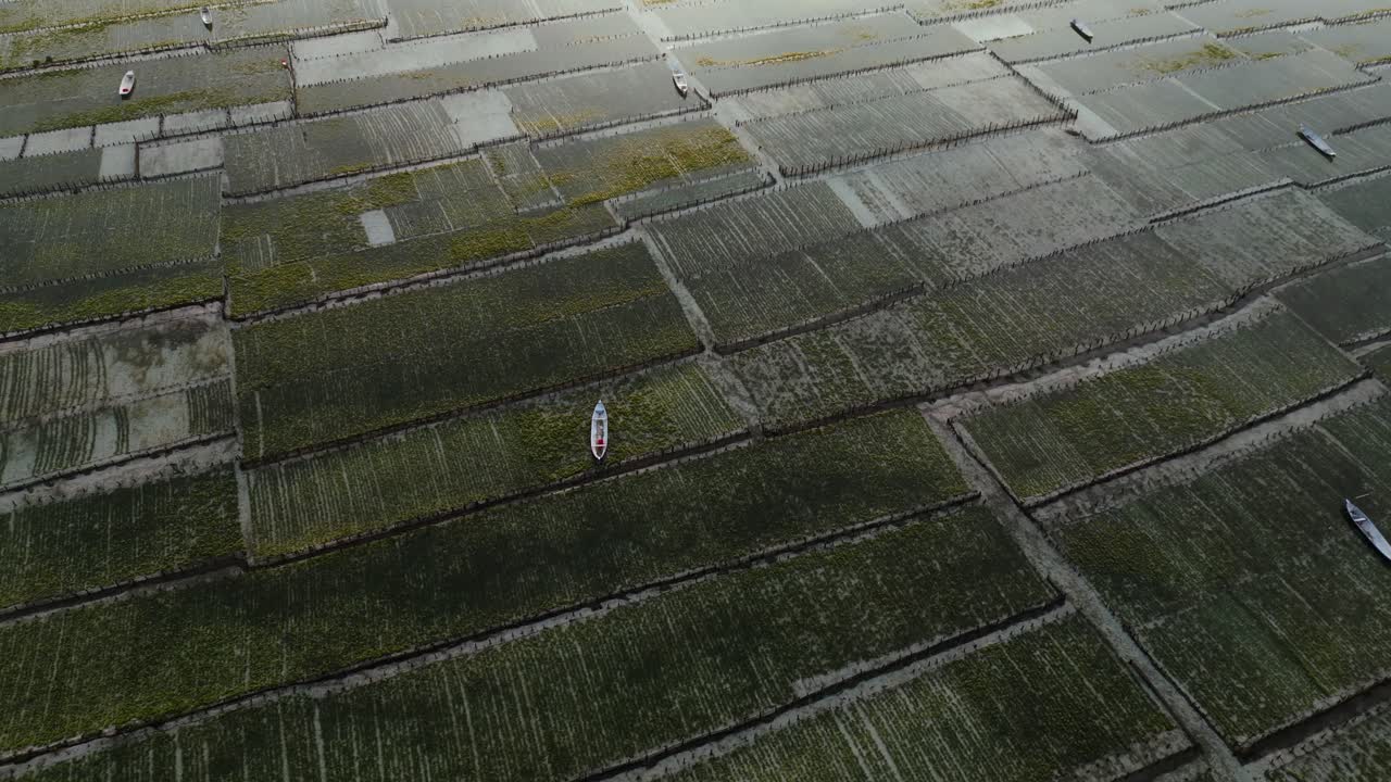 tierras de cultivo con algas marinas y barcos en la superficie del agua