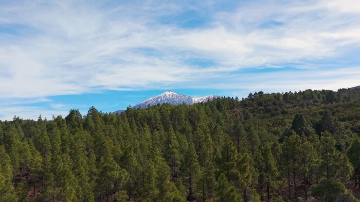 Veduta aerea dell'El Teide innevato, di pinete e di colate laviche