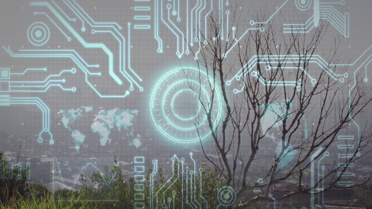 Digital circuit patterns and data processing animation over barren tree landscape