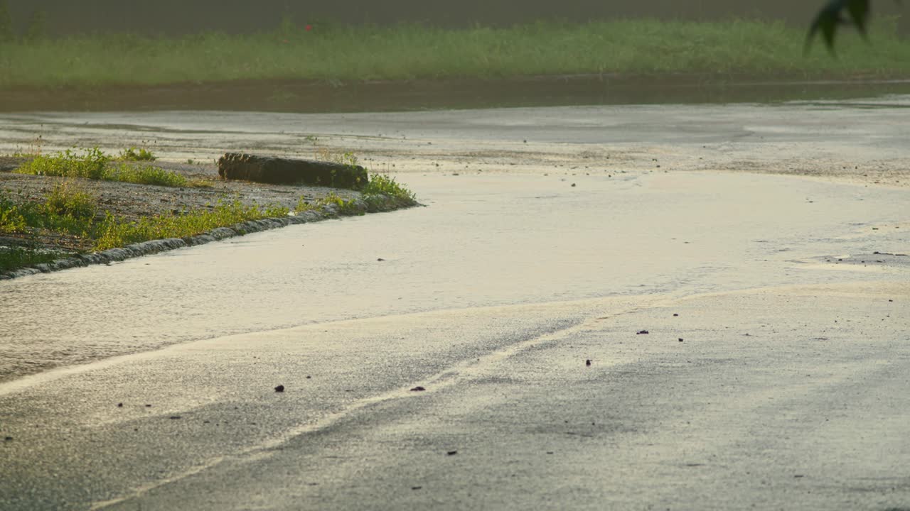 우물에서 물이 흘러나오는 것 - 물 공급 시스템의 돌파구 - 하수 - prores 422, bmpcc4k