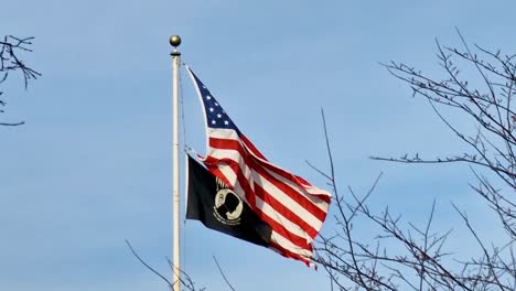 vídeo de la bandera americana de nueva york