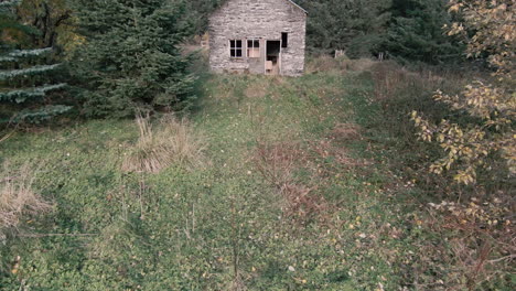 Dolly-Rückwärts-Gruseliges-Haus-Im-Wald