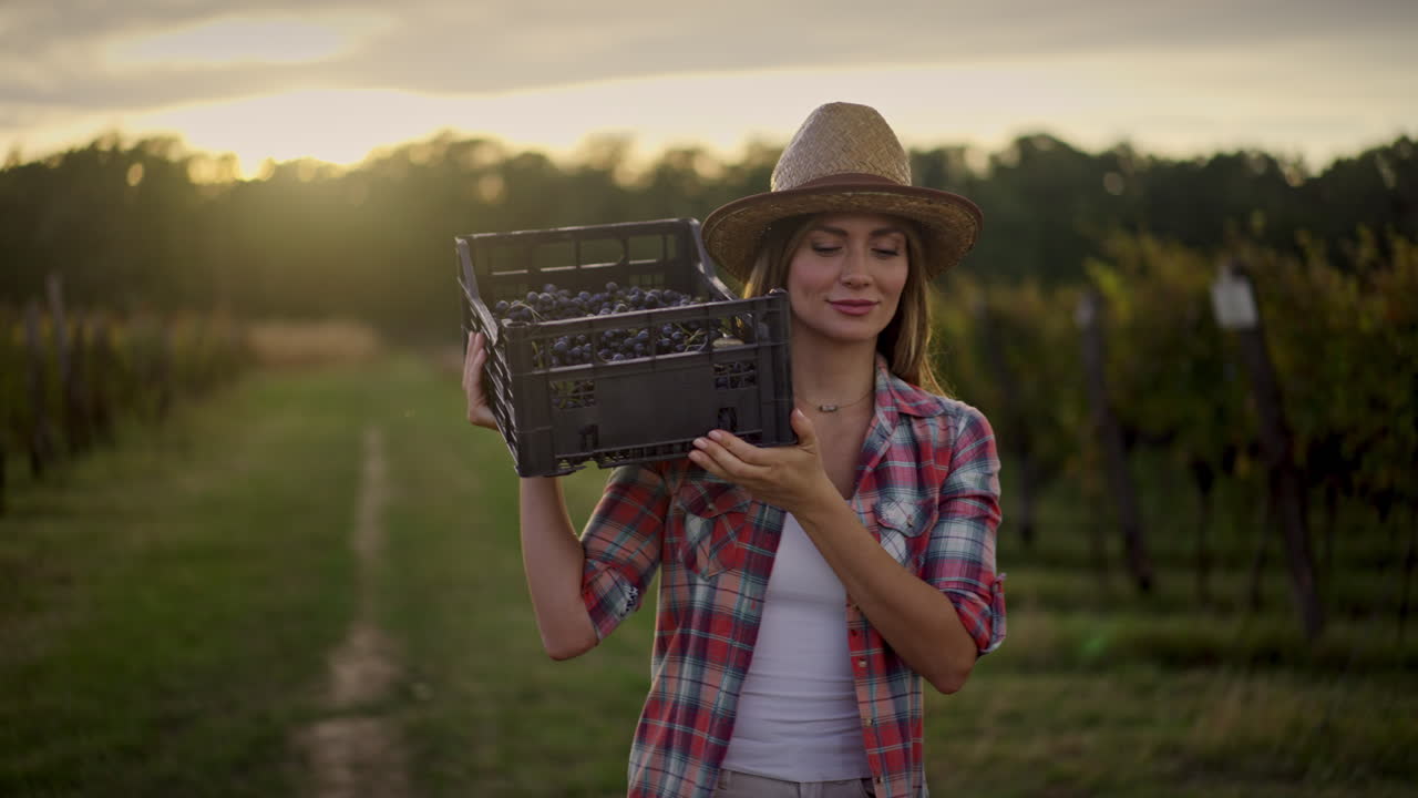 mujer cosechando uvas en el viñedo