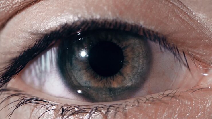 Futuristic Eye with Augmented Reality Interface