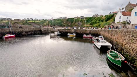 boats docked in a serene harbor