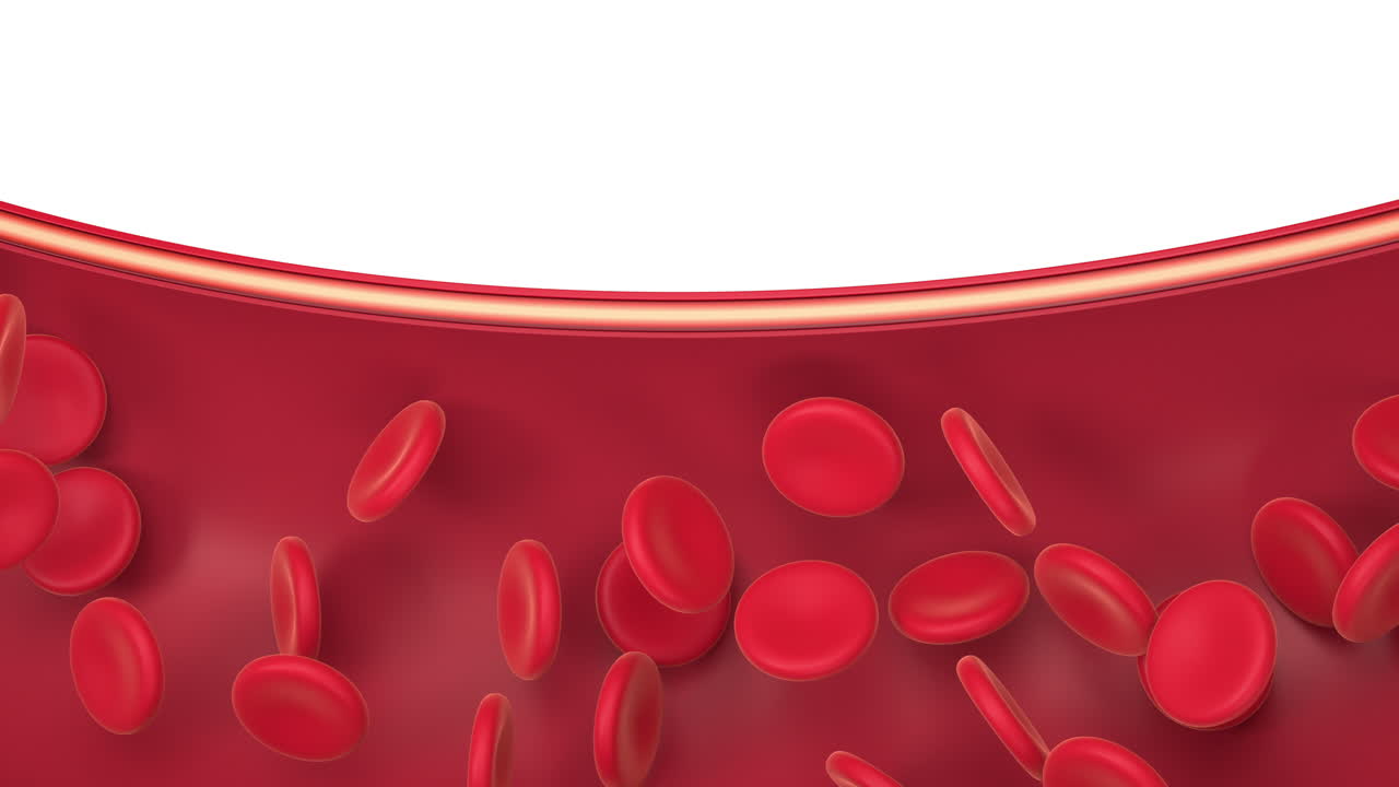 혈관에 있는 적혈구, 3d 렌더링