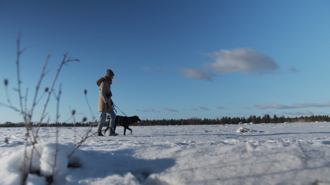젊은 여자가 눈 속에서 그녀의 개를 걷고 있다