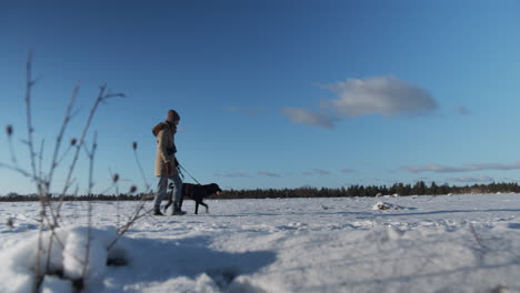 young woman is walking her dog in the snow