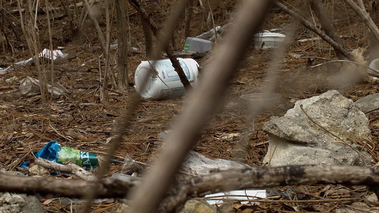Trash litters a forest floor