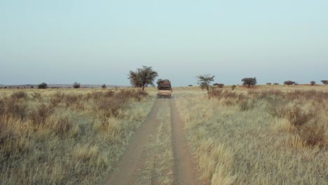 safari off-roading at namibia desert grassland with bushes in south africa