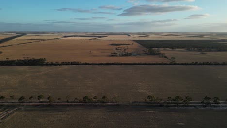 Campos-De-Trigo-En-El-área-De-Esperance,-Australia-Occidental