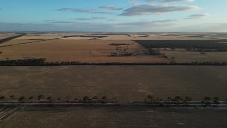 campos de trigo en el área de esperance, australia occidental