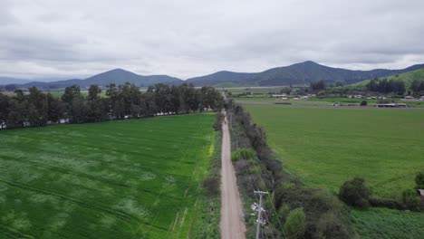 Aerial-View-Of-Empty-Road-Between-Green-Fields-In-Pomaire,-Santiago-Region-In-Chile