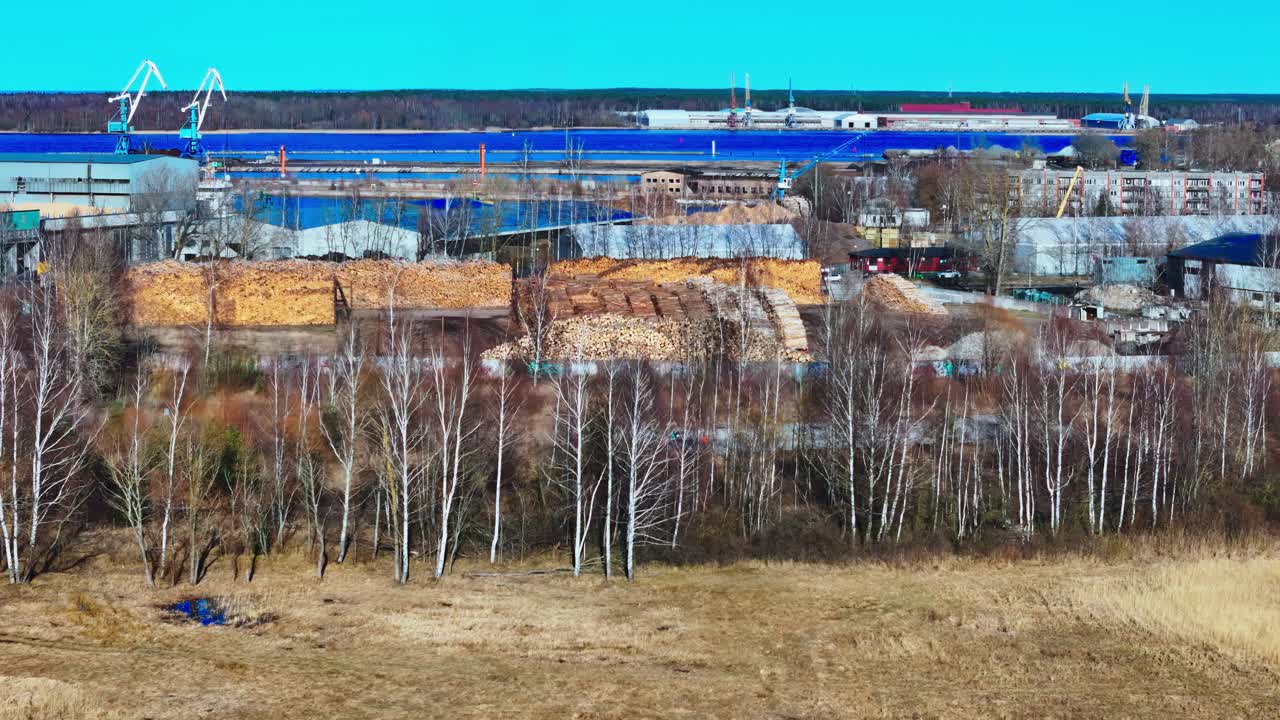 Late winter industrial timber yard in Riga port capturing large woodpiles and buildings, framed by bare birch trees and a brown field under a clear, bright blue sky, shot with a standard lens