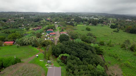 greenwell farms fértil gran isla producción de café hawaiano vista aérea volando sobre homestead