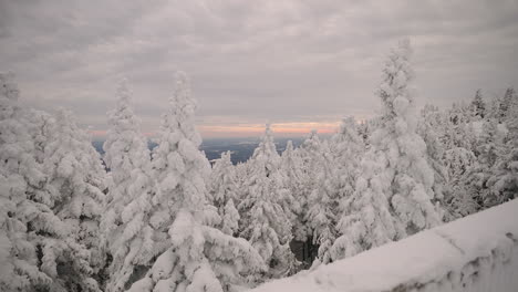 Mont-Orford-Nationalpark---Mont-Orford-Skigebiet-Mit-Bäumen,-Die-Im-Winter-Mit-Schnee-In-Quebec,-Kanada-Bedeckt-Sind