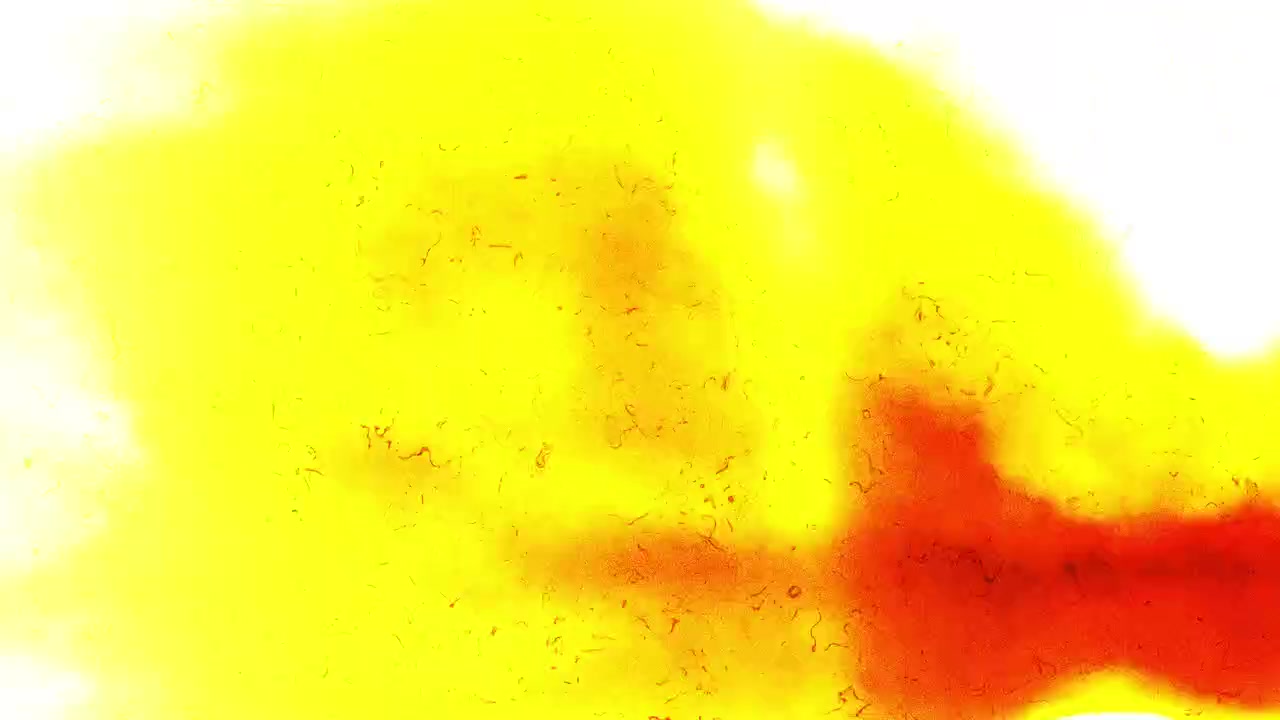 Effetto astratto di sovrapposizione con bruciatura di pellicola e perdita di luce
