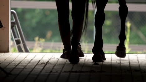 silhouette of horse legs and human feet at the entrance of a barn, illustrating the bond between human and horse