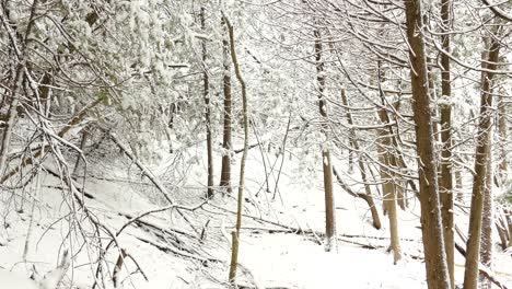 Winterwald-Mit-Kahlen-Bäumen-Und-Boden-In-Starkem-Schneefall-–-Schwenk-Nach-Links