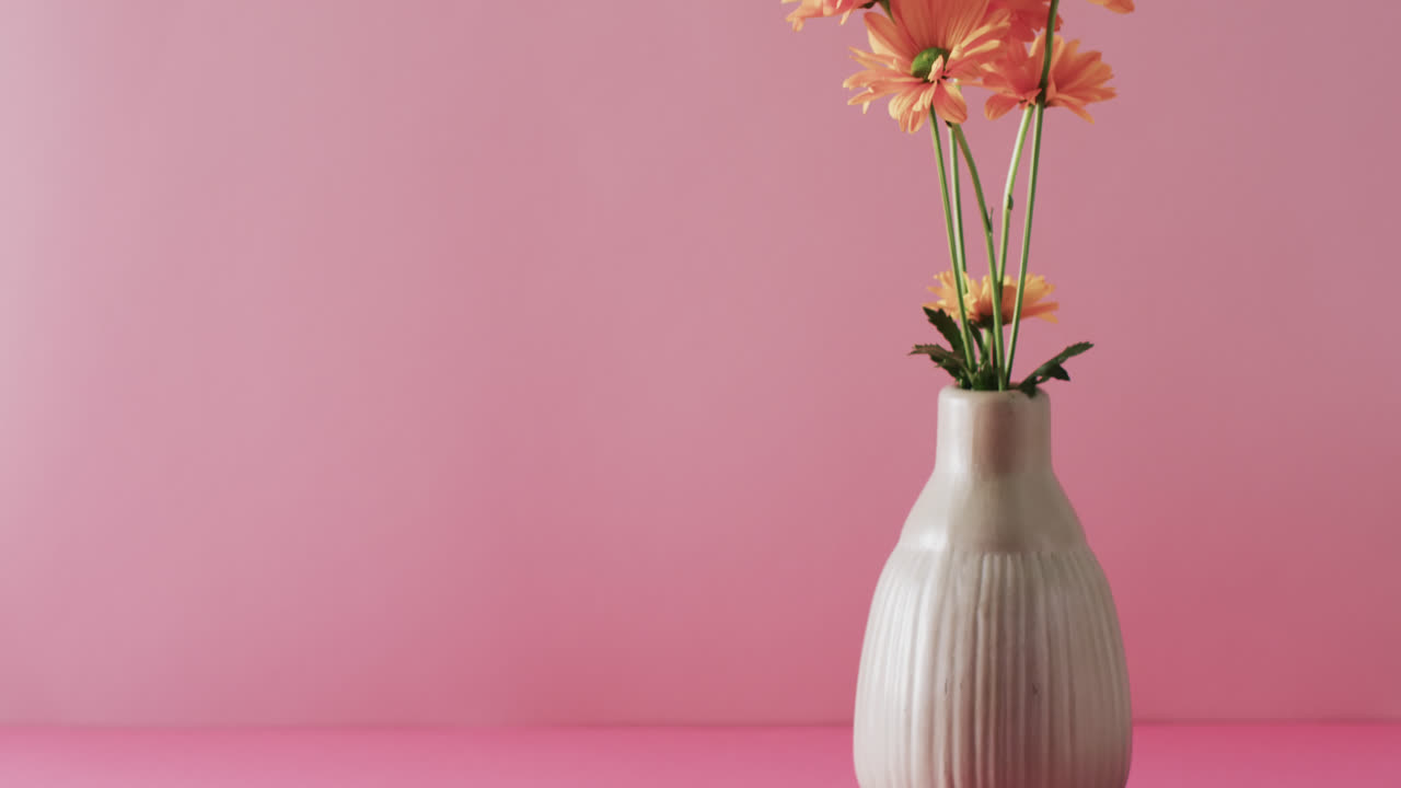 video de flores amarillas en jarrón blanco con espacio de copia en fondo rosa