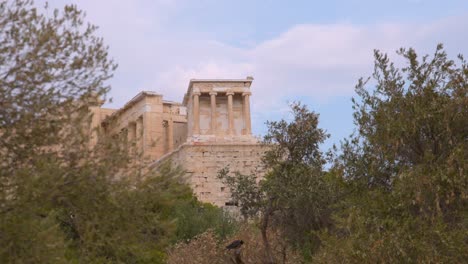 ancient structure partially obscured by lush greenery