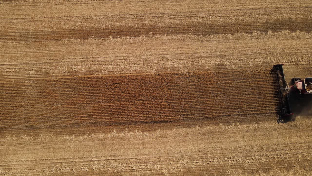 un agricultor que opera una cosechadora en un campo de soja en el condado de monroe, michigan, estados unidos