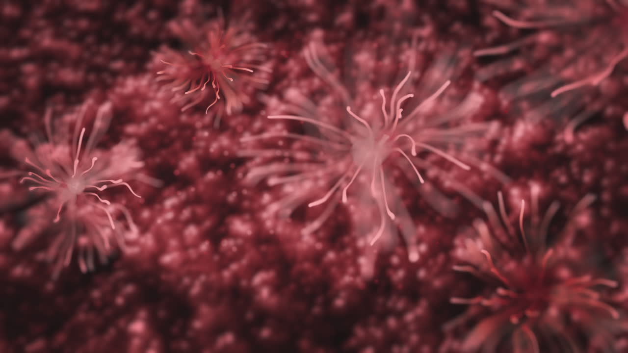 Microscopic view of cells or viruses