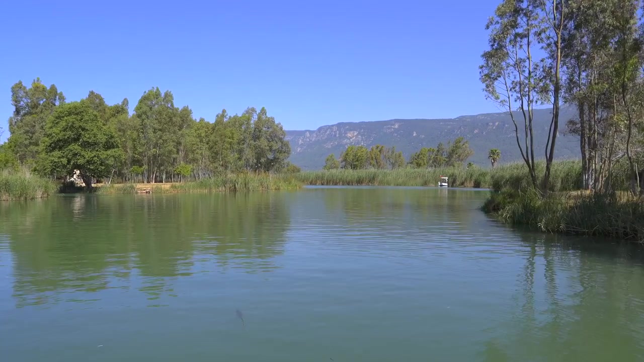 Vue panoramique d'une rivière calme entourée d'arbres et de roseaux